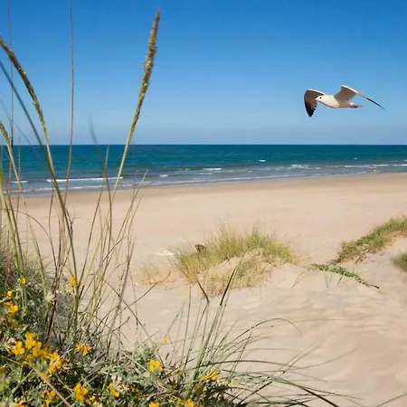 Apartamento Holidays 1