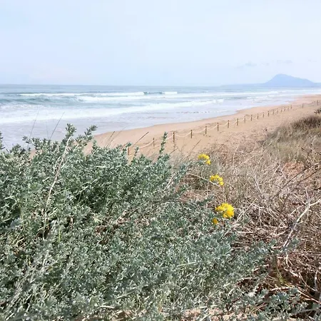 Apartamento Holidays 1 Oliva