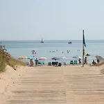 Holidays 1 Олива