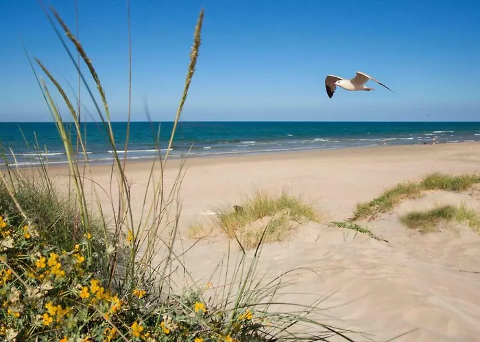 Appartement Holidays 1