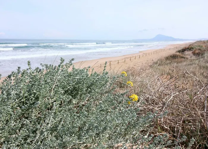 Appartement Holidays 1 Oliva