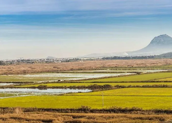 Holidays 1 Appartement *